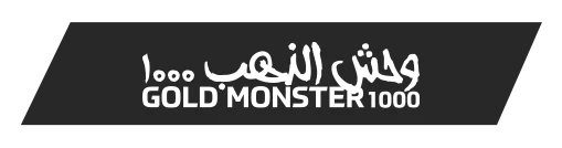 Kırşehir Minelab Gold Monster 1000 - Gold Monster 1000 küçük altın dedektörü